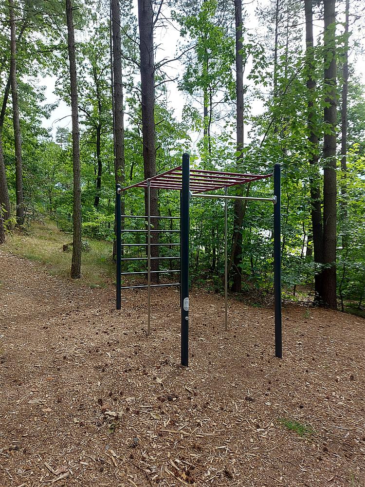 Calisthenics Kombi Hangel- und Sprossenleiter Ansicht 5