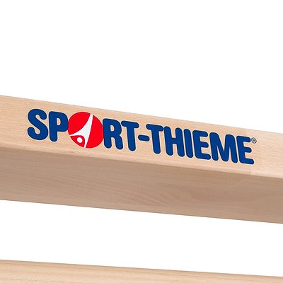 Sport-Thieme Turnwand-Einzelelement „TuWa Sprossenwand nach DIN“ Ansicht 5