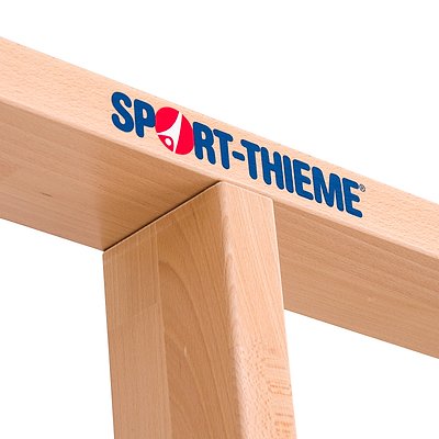 Sport-Thieme Turnwand-Einzelelement „TuWa Gitterleiter“ Ansicht 5