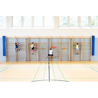 Spordas Reifenhalter für Sprossenwände „WalliBari“ Ansicht 3