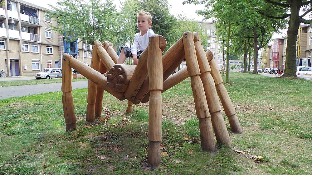 Kletterspinne Thekla Ansicht 6