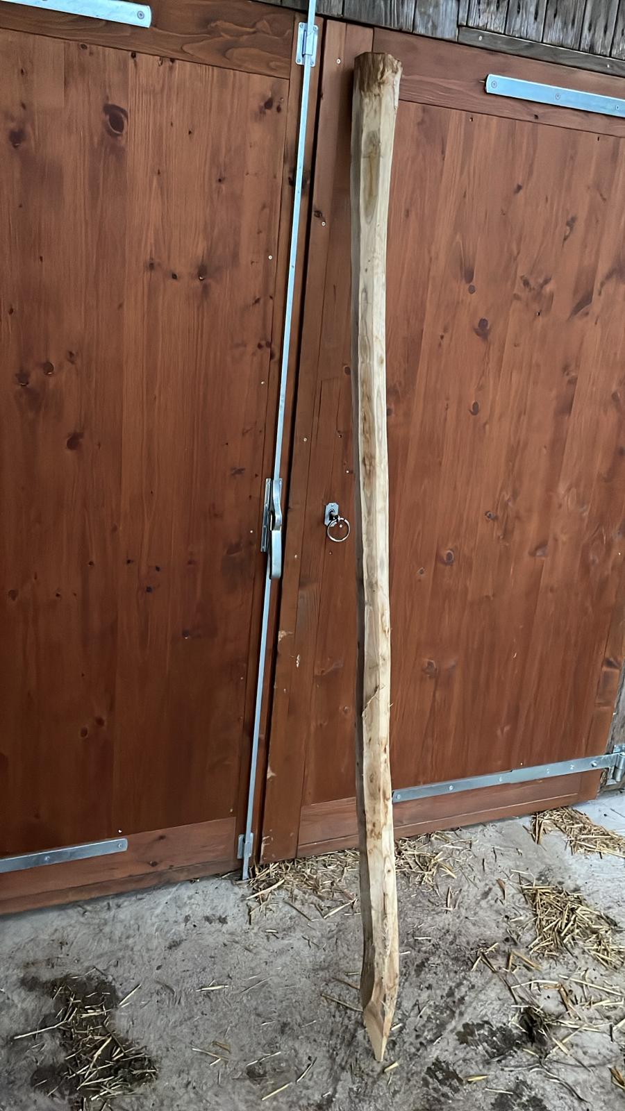 Robinienpfahl rund 180 cm Ansicht 4