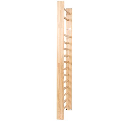 Sport-Thieme Sprossenwand „Einzelfeld“, 230x100 cm nach DIN EN 12346 Ansicht 2