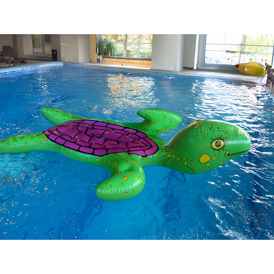 Airkraft Wasserobjekt „Schildkröte“ Ansicht 2