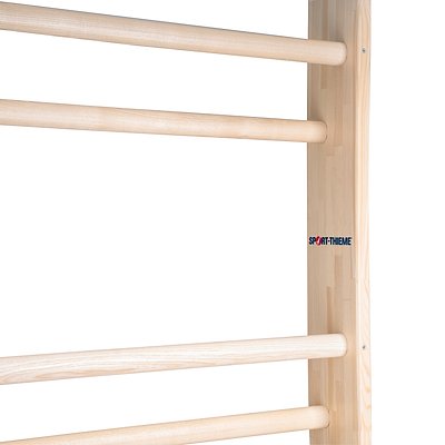 Sport-Thieme Sprossenwand „Einzelfeld“, 260x100 cm nach DIN EN 12346 Ansicht 3