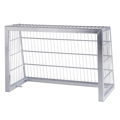 Sport-Thieme Mini-Bolzplatztor aus Stahl
